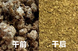 发酵料欧式烘干机